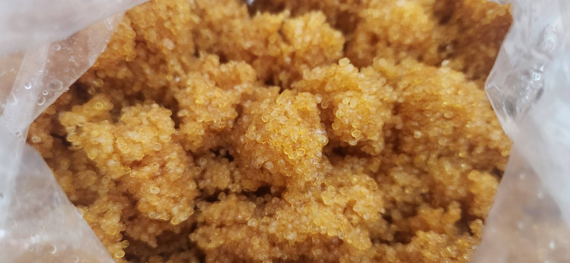 黃金飛魚卵